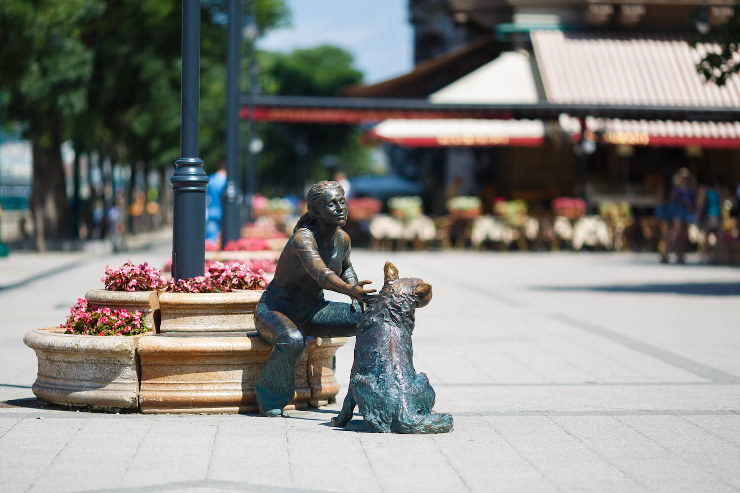 Has the whole Hungarian market benefitted from growth during the pandemic?