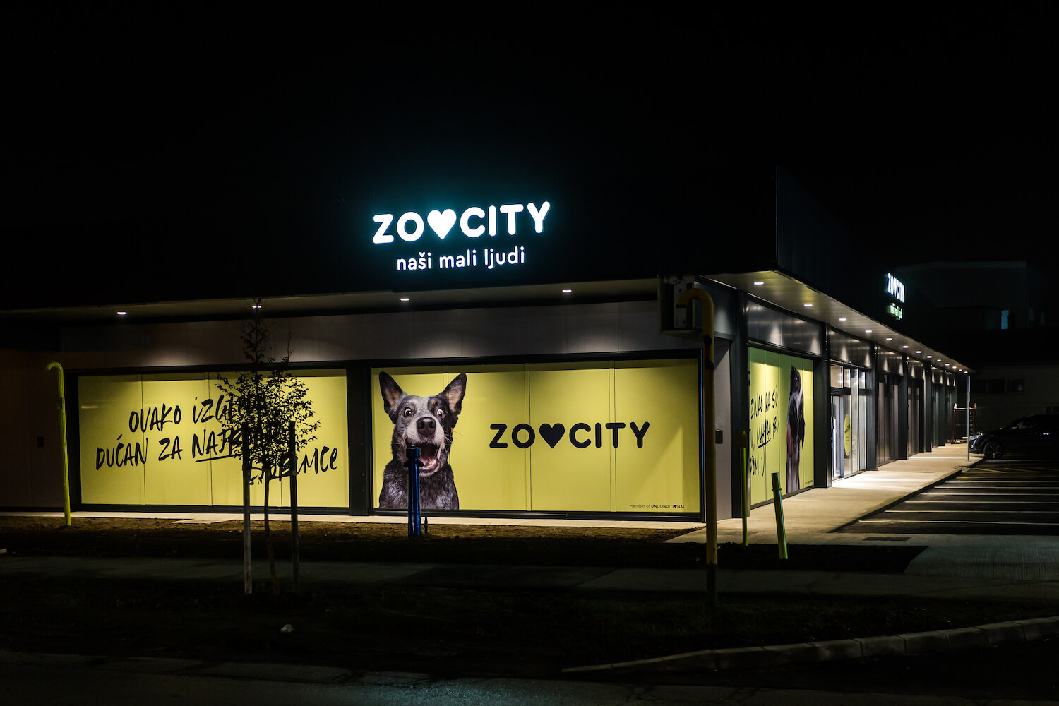 It all started with one pet shop...