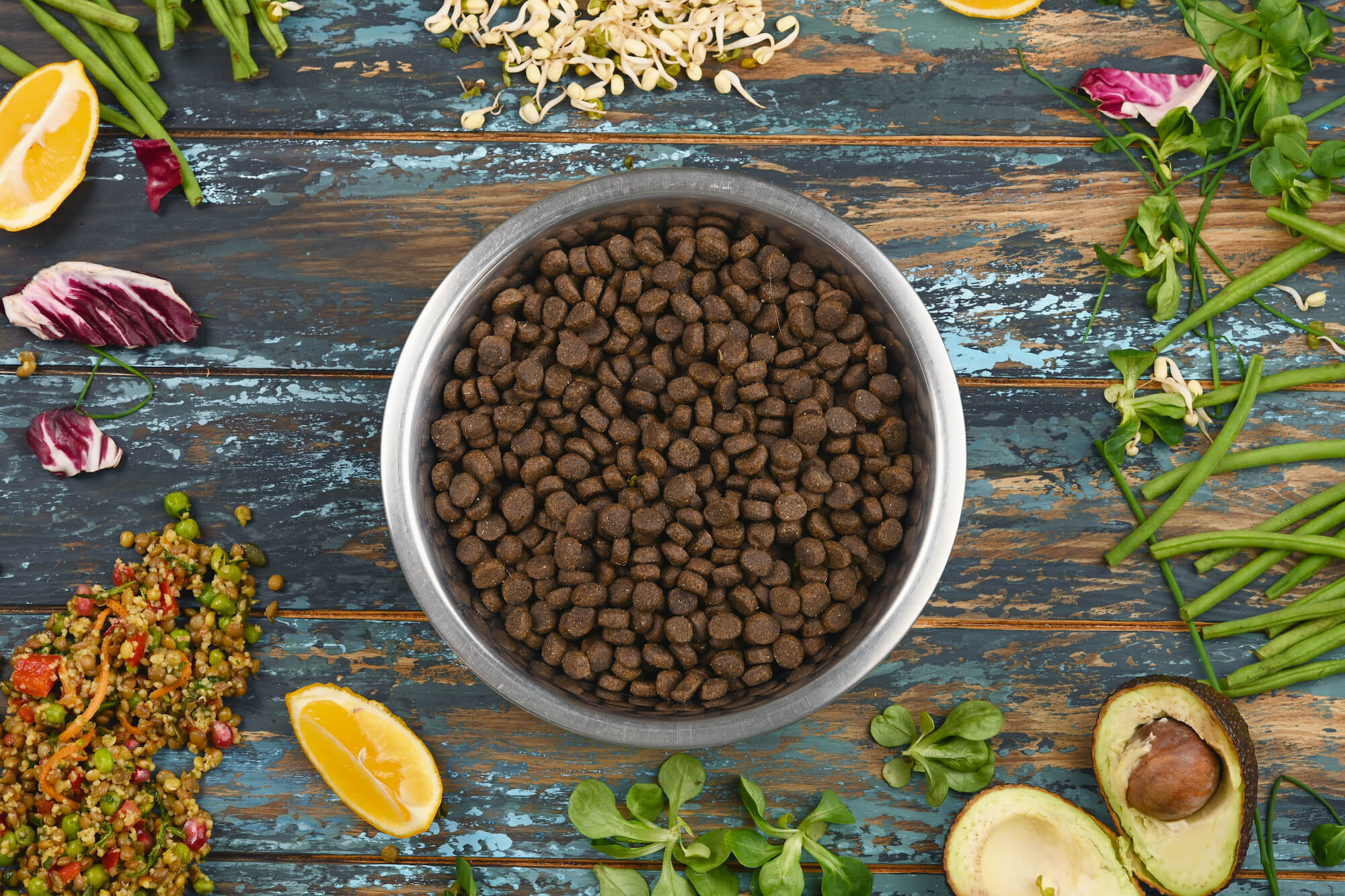 A new paradigm for pet food