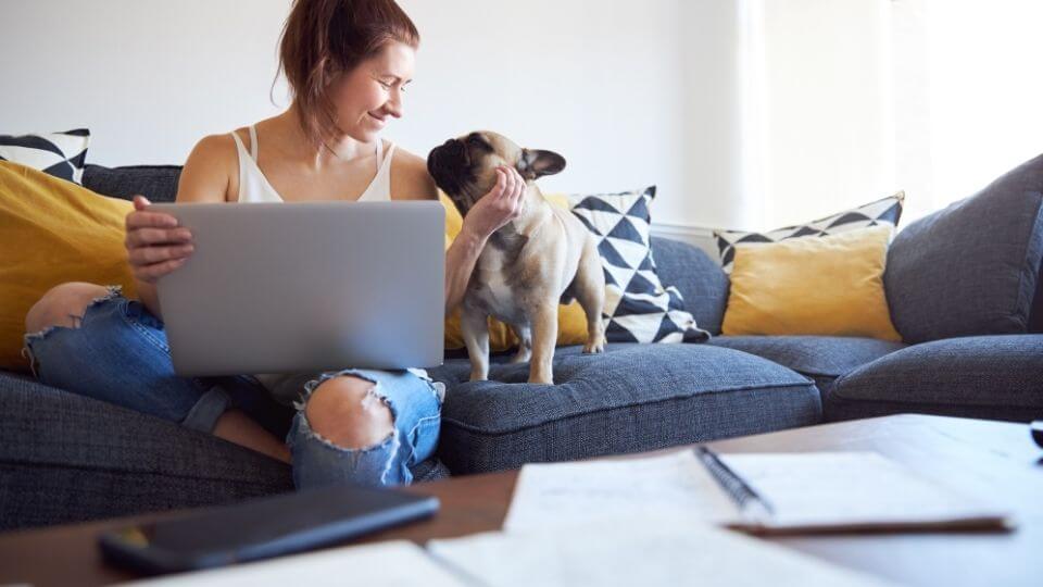 The key elements of strong petfluencer marketing