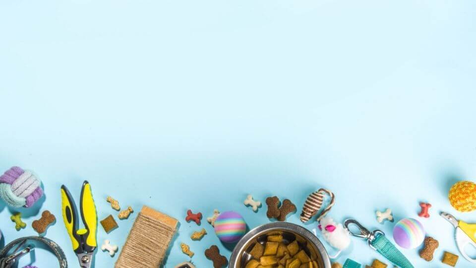 Double-digit pet treats sales spurred by pandemic