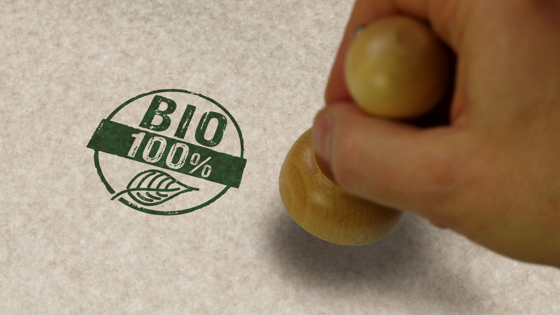 Already green or still greenwashing?