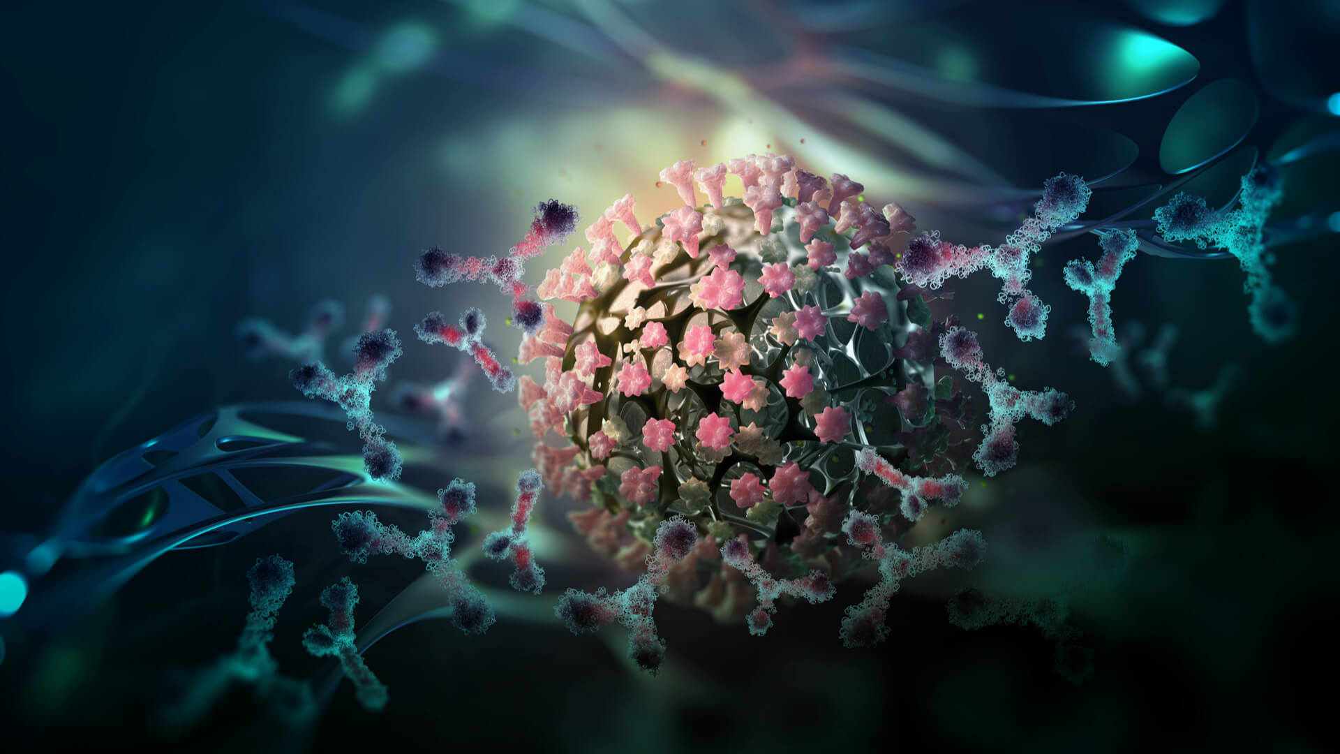 Addressing the rising consumer interest in immune health