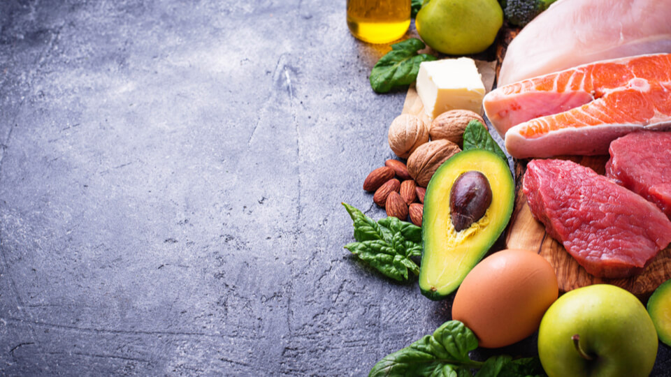 Keto diets as pet food: dangerous or beneficial?