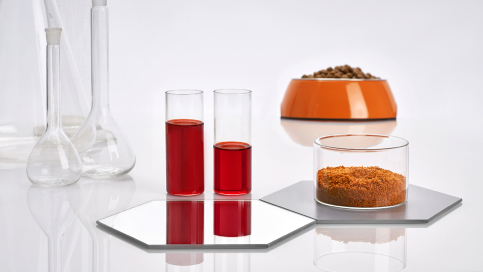 Why krill is the new star in the omega-3 pet supplement space