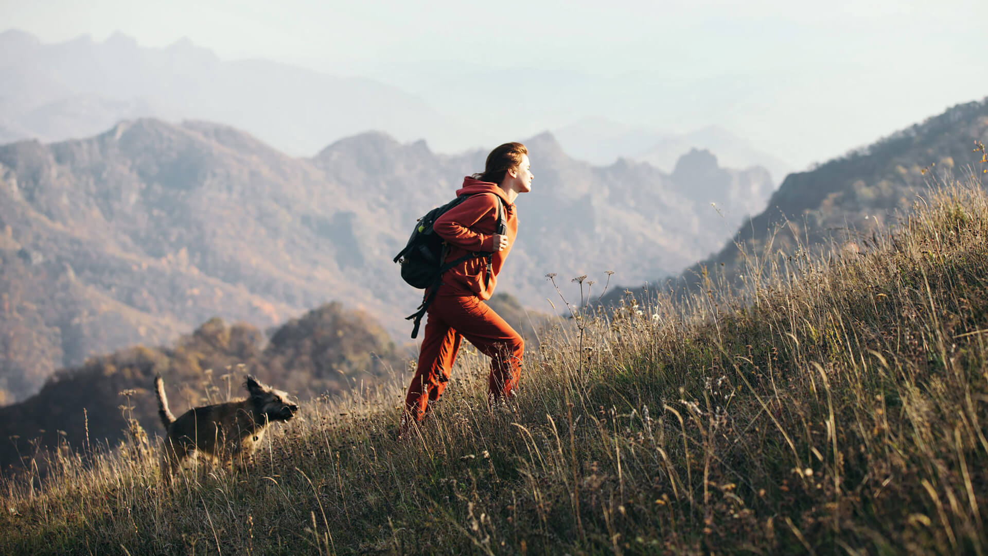 The next step in your sustainability efforts?
