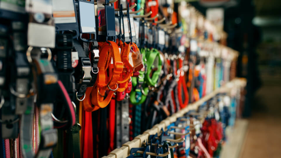 How human fashion trends lead the way in collar, harness and leash styles