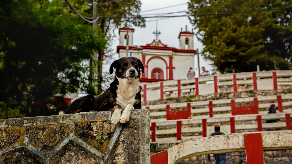Country report: Mexico - Increased product penetration in rural areas is key to industry growth