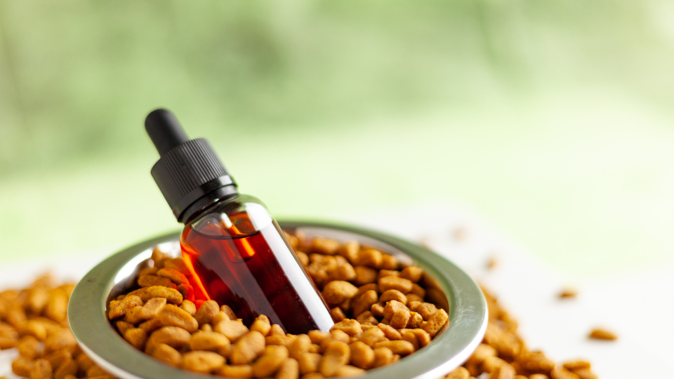 The controversial subject of prescribing CBD to pets