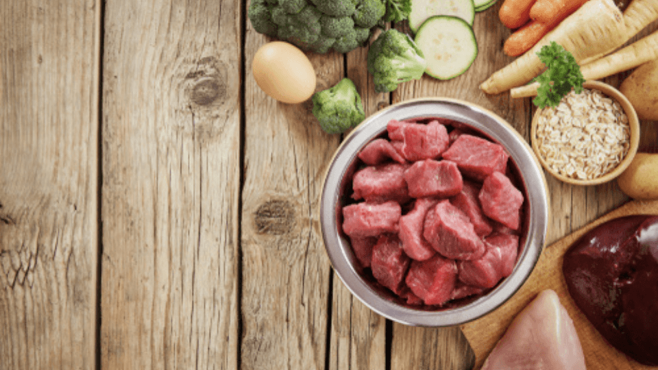 The role of ingredients in making pet food richer than ever