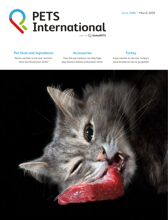 PETS International Magazine March 2019