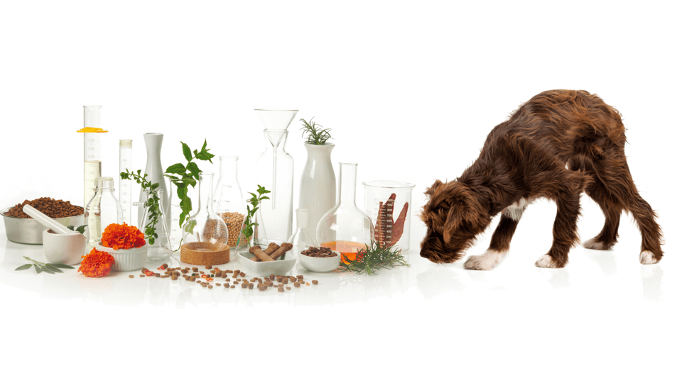 Pet food assurance