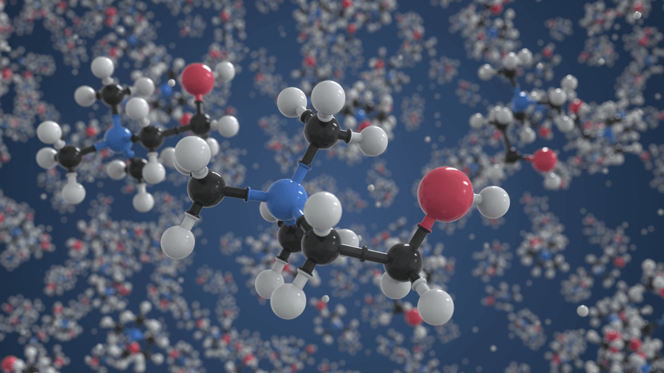 Choline in petfood – a multifunctional and exciting nutrient