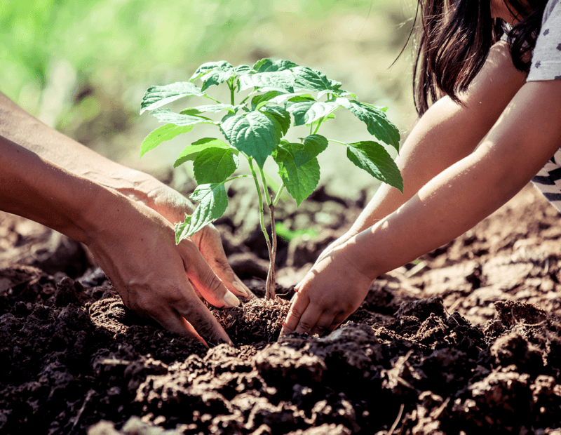 Looking for sustainable packaging solutions