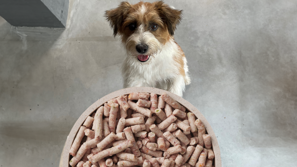 Q-Petfood makes frozen fresh meat suitable for small and medium-sized dogs and cats